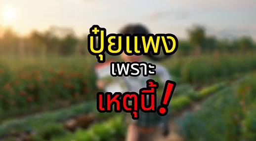 เจาะลึกสาเหตุ “ปุ๋ยแพง” และแนวทางรับมือด้วยหลัก “4 ถูก” สำหรับเกษตรกรไทย